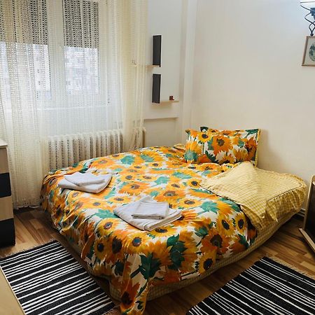 Apartament Cornelia 부자우 외부 사진